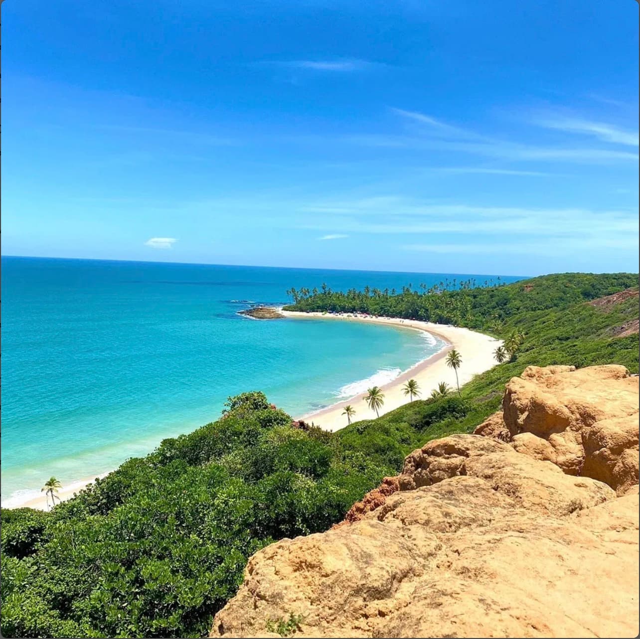 Vista aérea de falésia com praia de águas turquesa e coqueiral no Litoral Sul da Paraíba